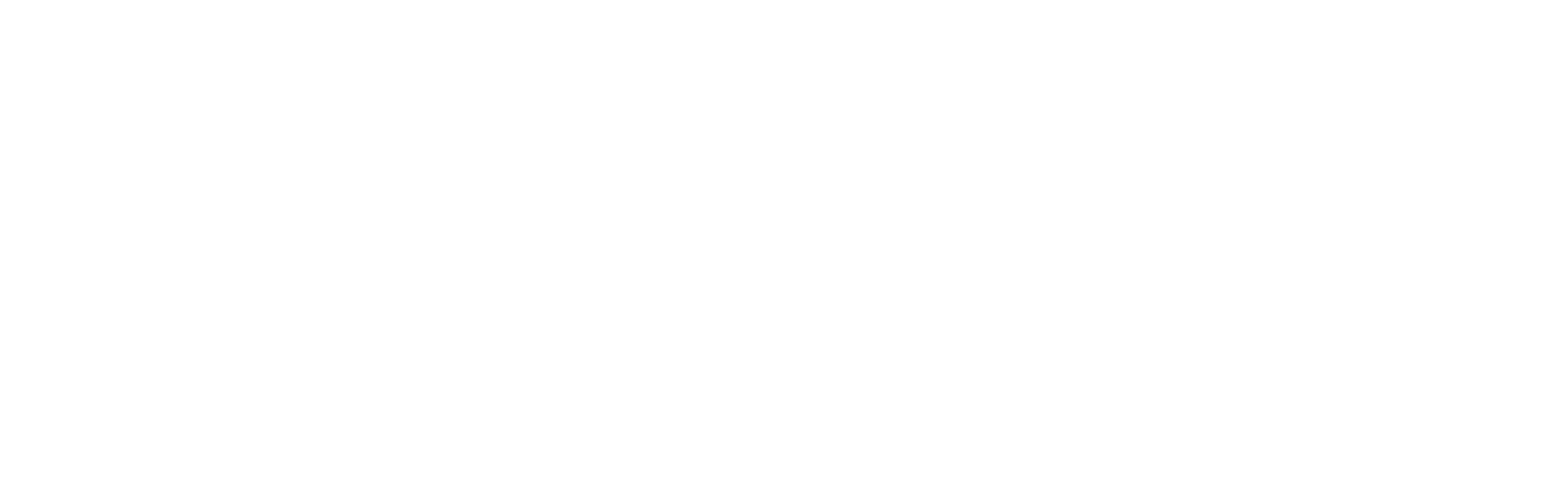 Logo Fondazione Centro Studi Valetudo